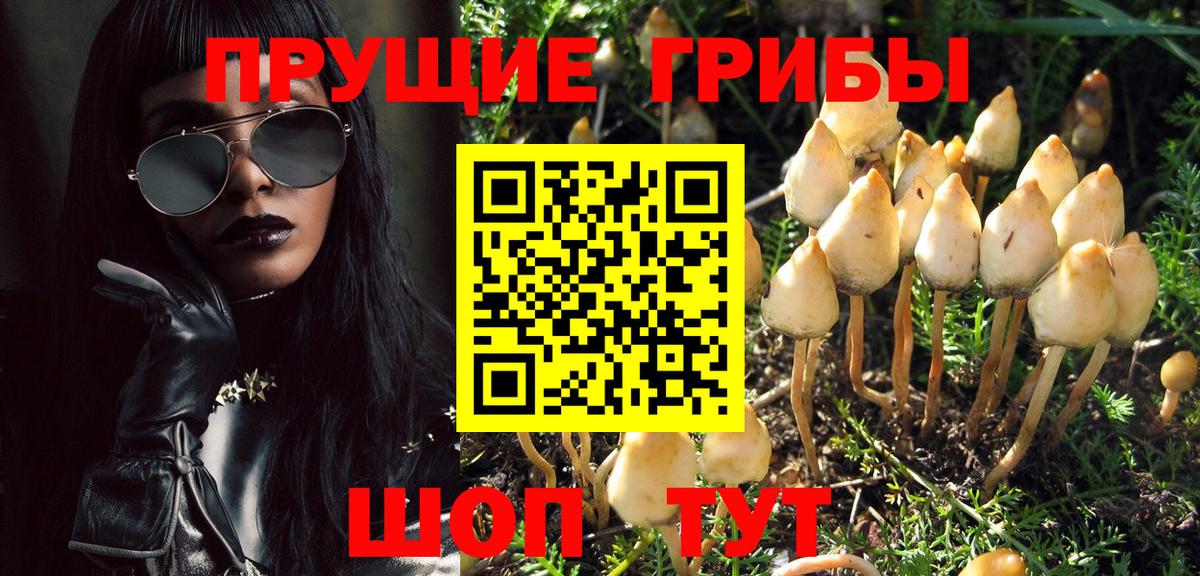 Галлюциногенные грибы Psilocybine cubensis Гагарин