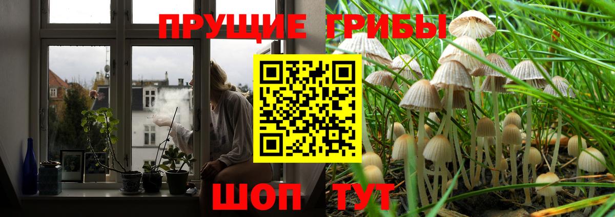 Гагарин  Псилоцибиновые грибы ЛСД  Псилоцибиновые грибы GOLDEN TEACHER  Вход с VPN 